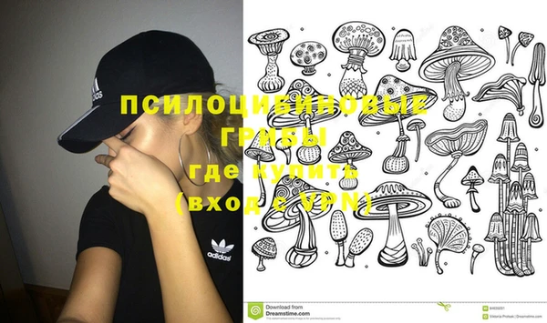 MESCALINE Вяземский
